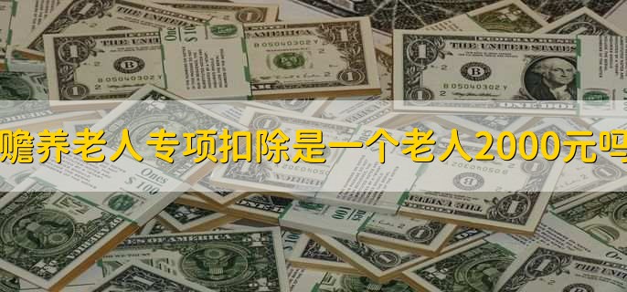 赡养老人专项扣除是一个老人2000元吗