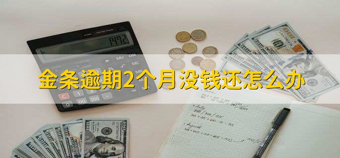 金条逾期2个月没钱还怎么办