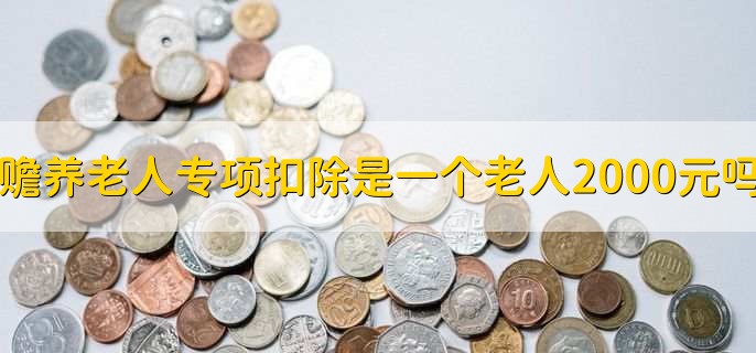 赡养老人专项扣除是一个老人2000元吗,不是
