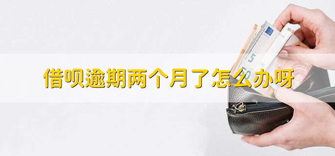 借呗逾期两个月了怎么办呀