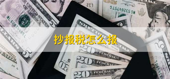 抄报税怎么报