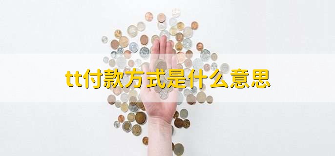 tt付款方式是什么意思,电汇付款方式