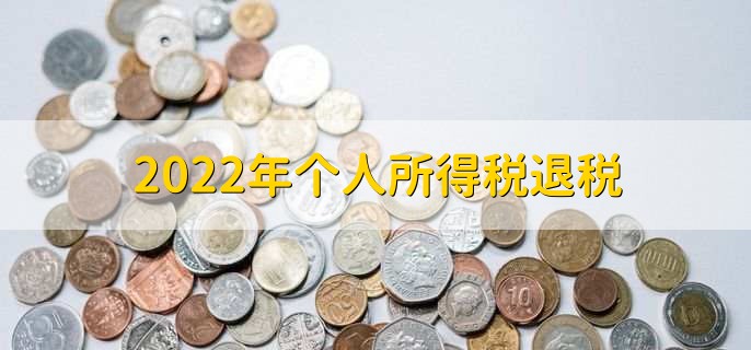 2022年个人所得税退税