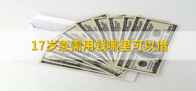 17岁急需用钱哪里可以借,一般没法借钱