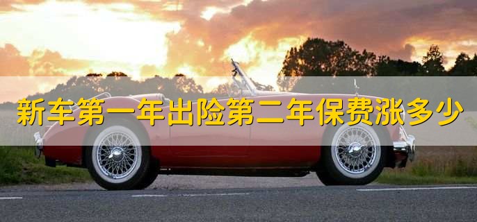 新车第一年出险第二年保费涨多少