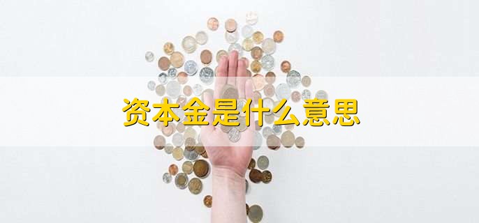 资本金是什么意思