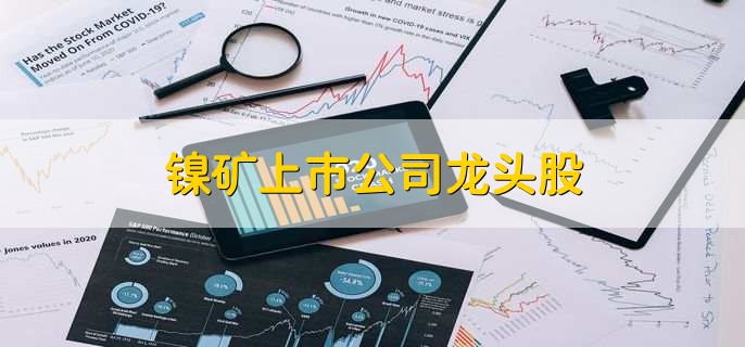 镍矿上市公司龙头股