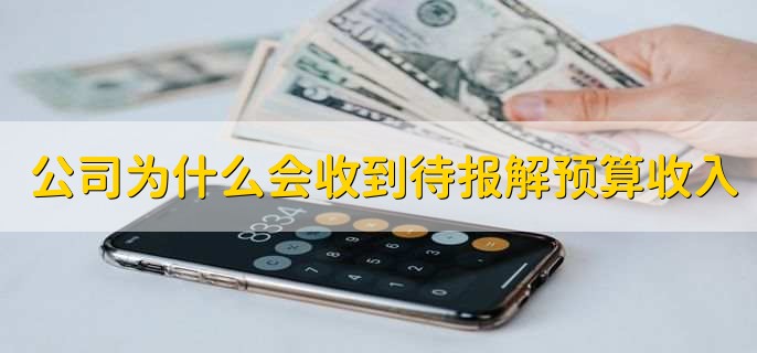 公司为什么会收到待报解预算收入,是当月通过银行交的税费
