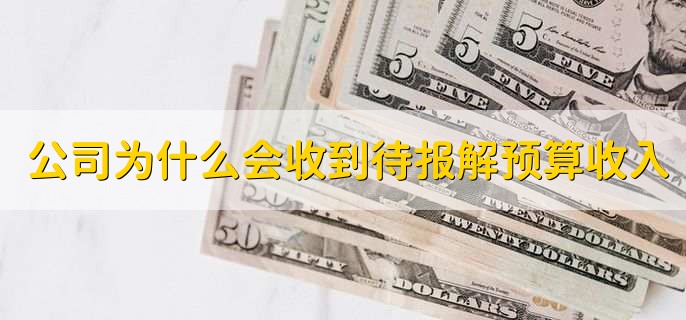 公司为什么会收到待报解预算收入
