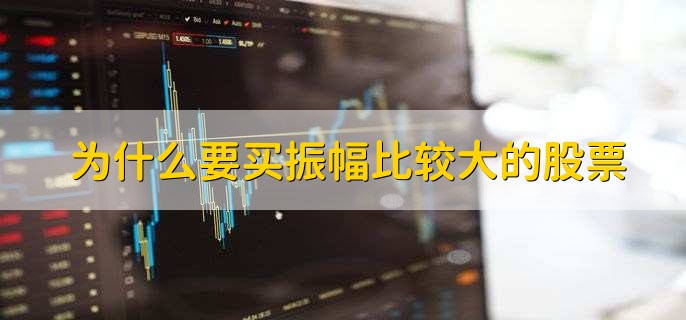 为什么要买振幅比较大的股票