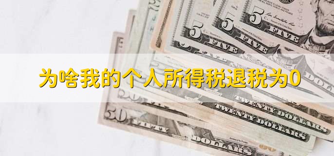 为啥我的个人所得税退税为0