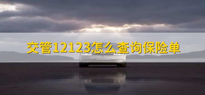 交管12123怎么查询保险单