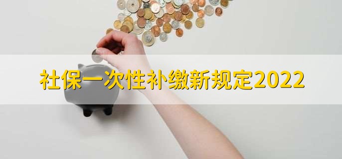 社保一次性补缴新规定2022，有以下两点