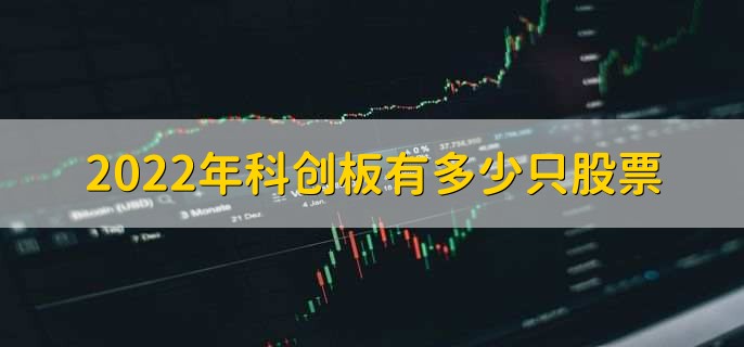 2022年科创板有多少只股票