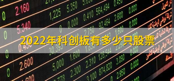2022年科创板有多少只股票,431只