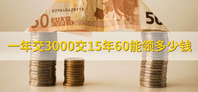 一年交3000交15年60能领多少钱,各地标准不同