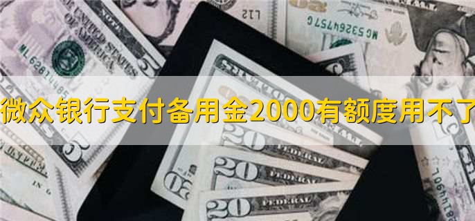 微众银行支付备用金2000有额度用不了