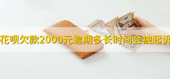 花呗欠款2000元逾期多长时间会被起诉,三个月