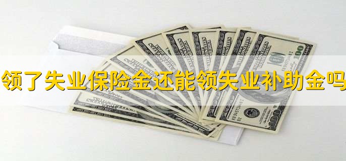 领了失业保险金还可以领失业补助金吗,不可以