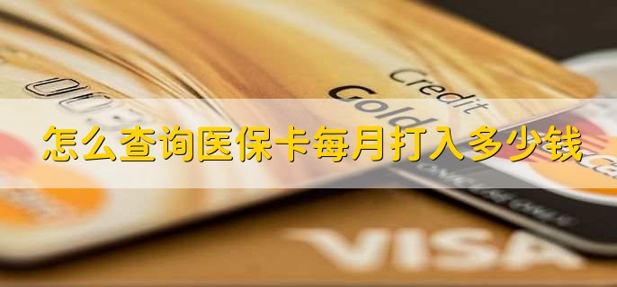 怎么查询医保卡每月打入多少钱,有以下三种方法