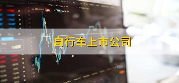 自行车上市公司,十大优质龙头股