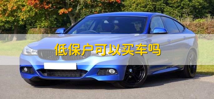 低保户可以买车吗,不可以