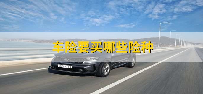 车险要买哪些险种,交强险和车损险等