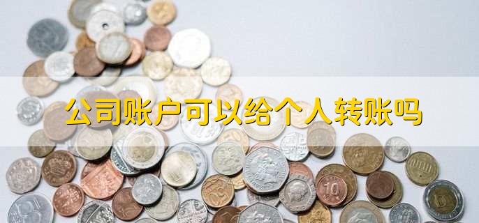 公司账户可以给个人转账吗,可以