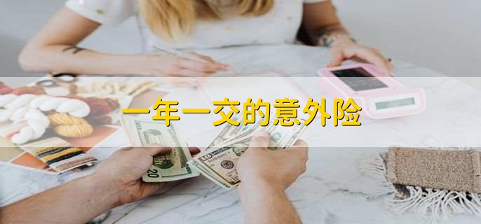 一年一交的意外险