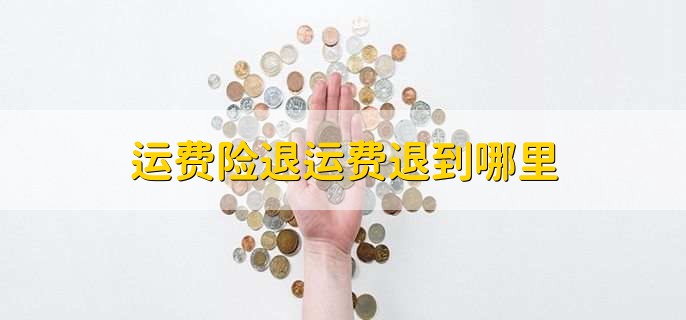 运费险退运费退到哪里
