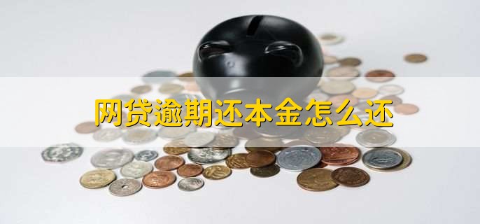 网贷逾期还本金怎么还