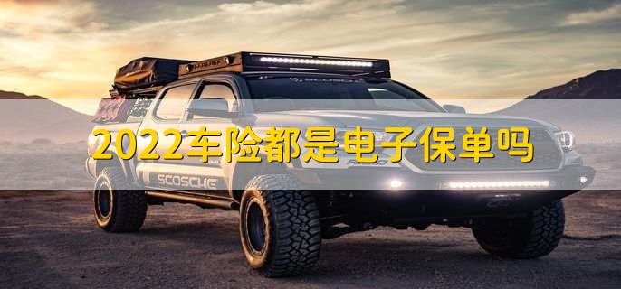 2022车险都是电子保单吗