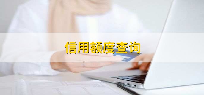 信用额度查询