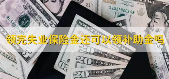 领完失业保险金还可以领补助金吗,可以领取