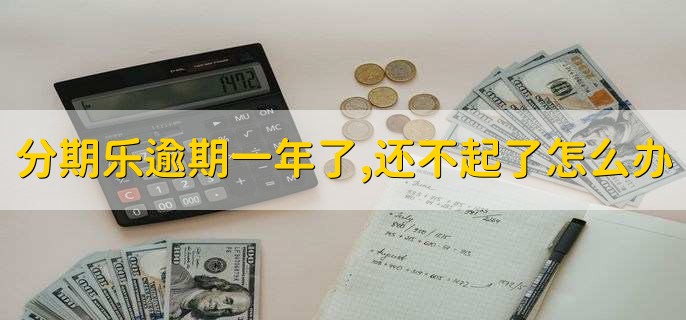 分期乐逾期一年了,还不起了怎么办