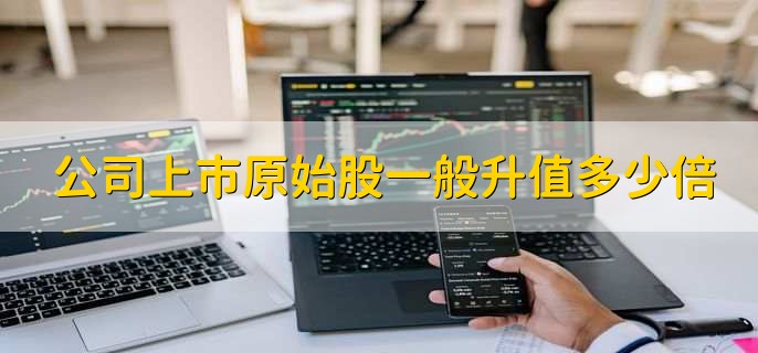 公司上市原始股一般升值多少倍