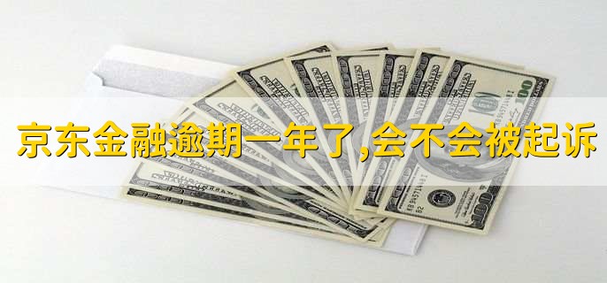 京东金融逾期一年了,会不会被起诉