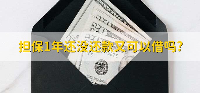 担保1年还没还款又可以借吗?