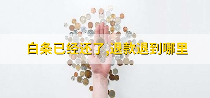 白条已经还了,退款退到哪里