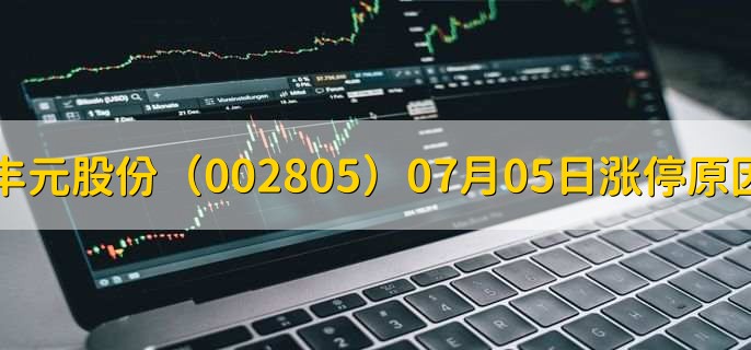 丰元股份(002805)07月05日涨停原因,最新消息分析,10天6板