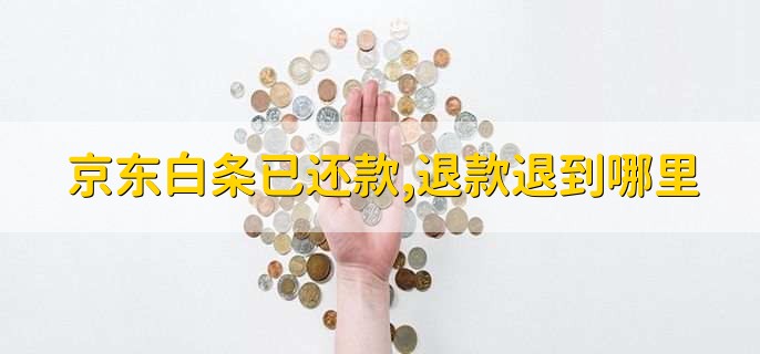 京东白条已还款，退款退到哪里
