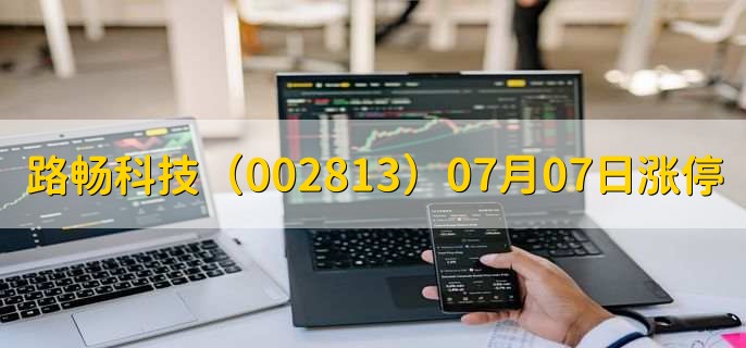 路畅科技（002813）07月07日涨停