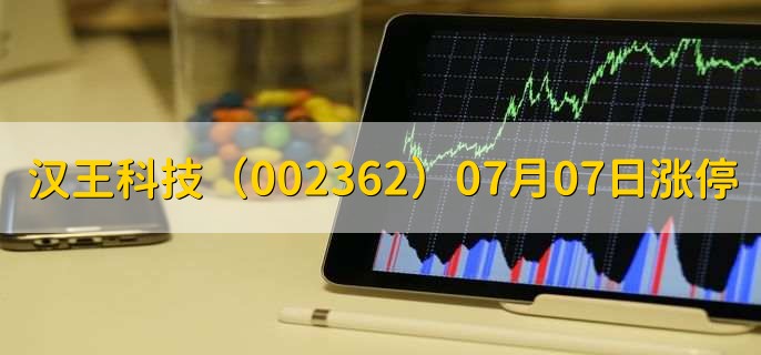 汉王科技（002362）07月07日涨停