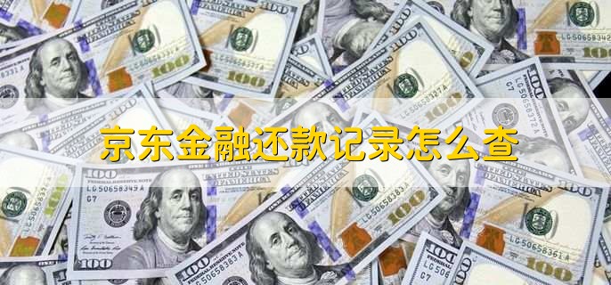 京东金融还款记录怎么查