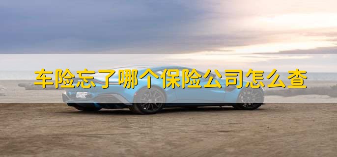 车险忘了哪个保险公司怎么查,有以下十种方法