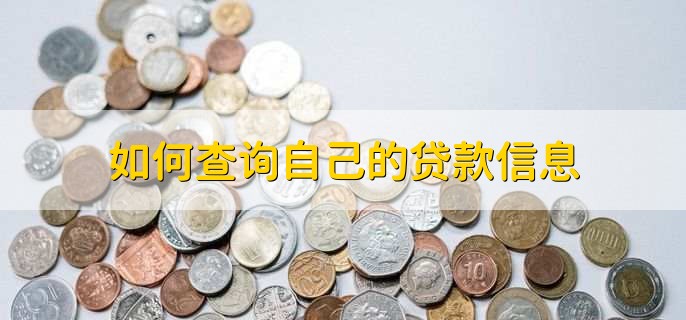 如何查询自己的贷款信息,分以下四点