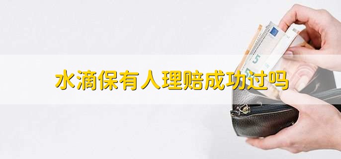 水滴保有人理赔成功过吗