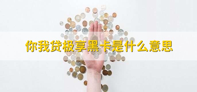 你我贷极享黑卡是什么意思,是一项会员卡服务