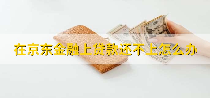 在京东金融上贷款还不上怎么办