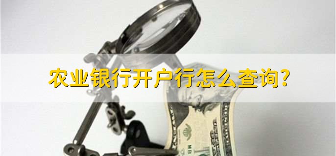 农业银行开户行怎么查询,有以下三种方法